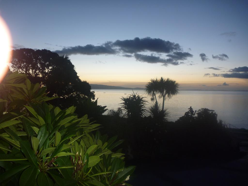 Te Puru Pohutukawa Coast Bnb מראה חיצוני תמונה