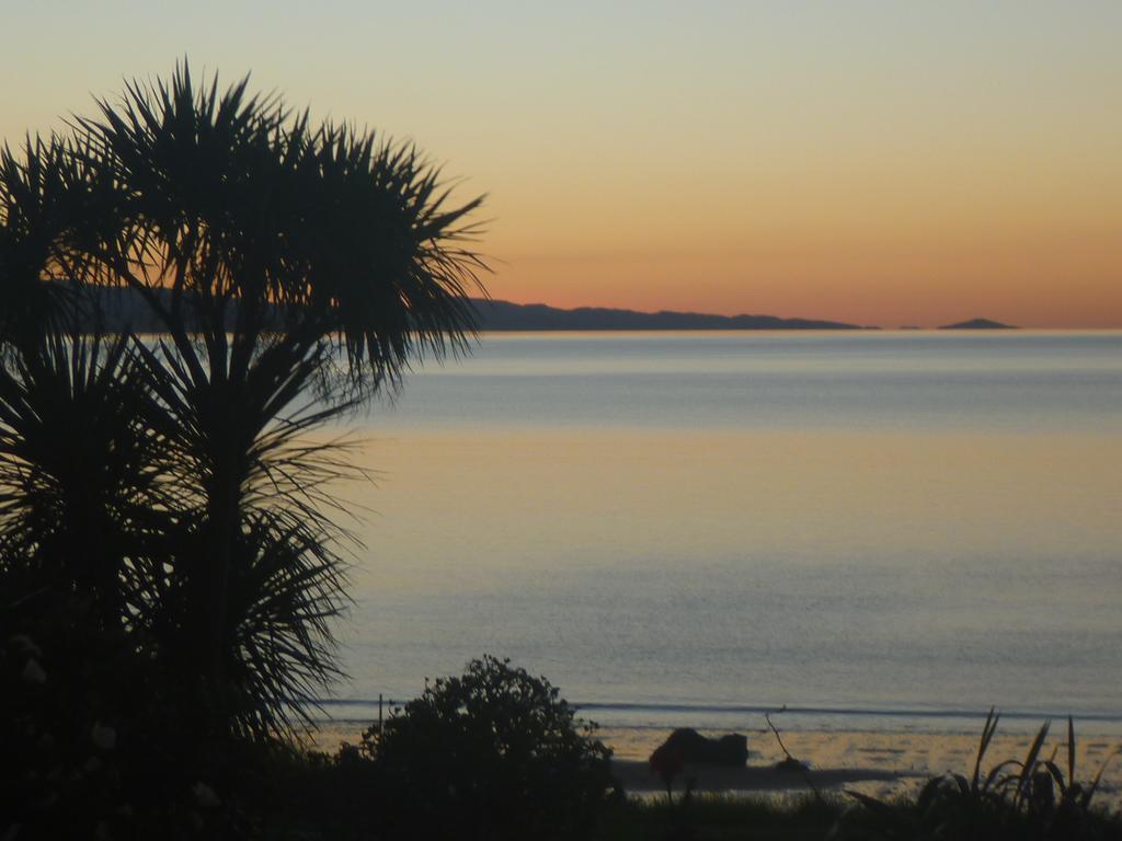 Te Puru Pohutukawa Coast Bnb מראה חיצוני תמונה