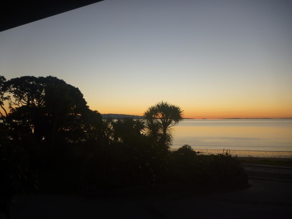Te Puru Pohutukawa Coast Bnb מראה חיצוני תמונה
