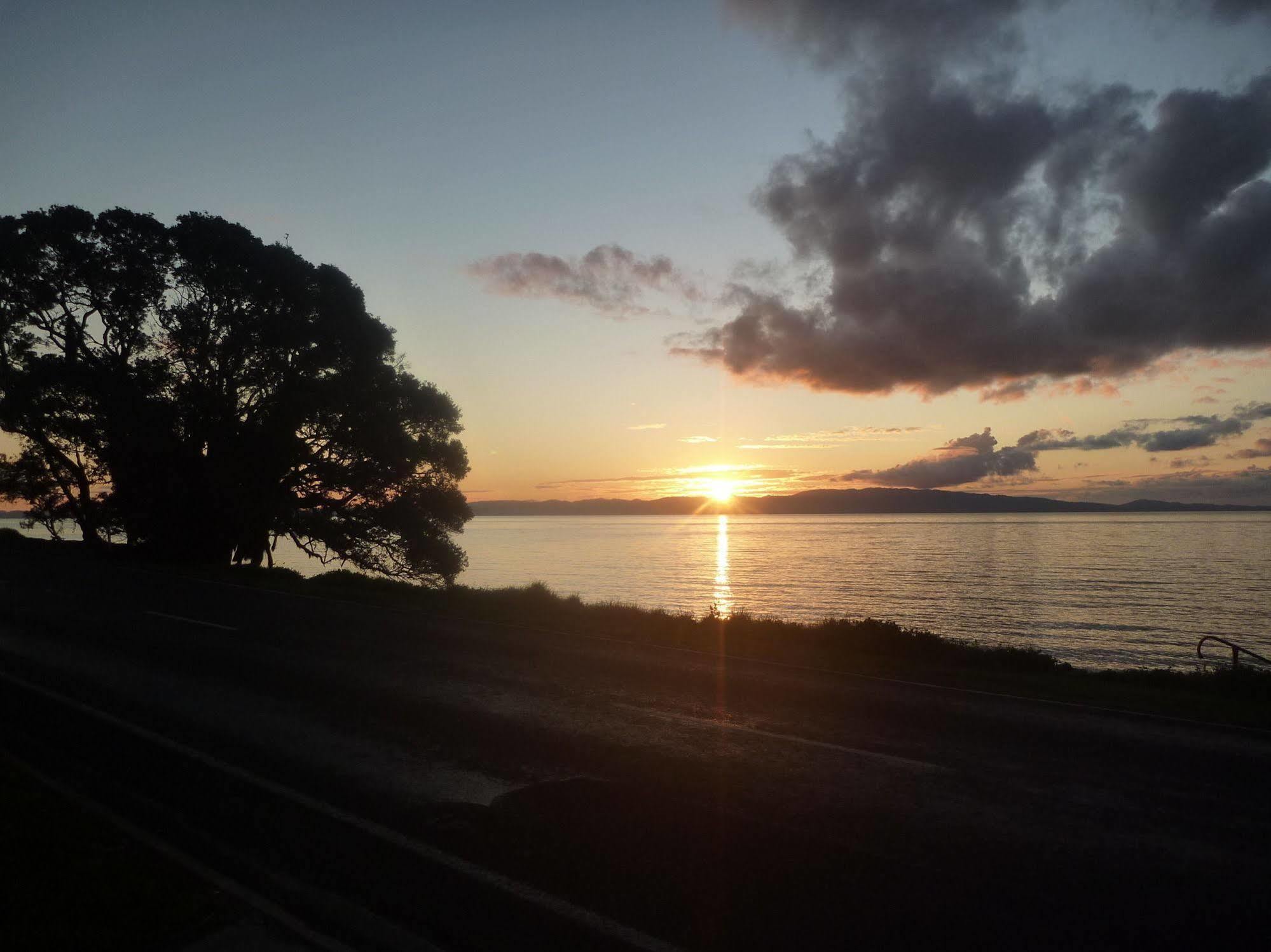 Te Puru Pohutukawa Coast Bnb מראה חיצוני תמונה