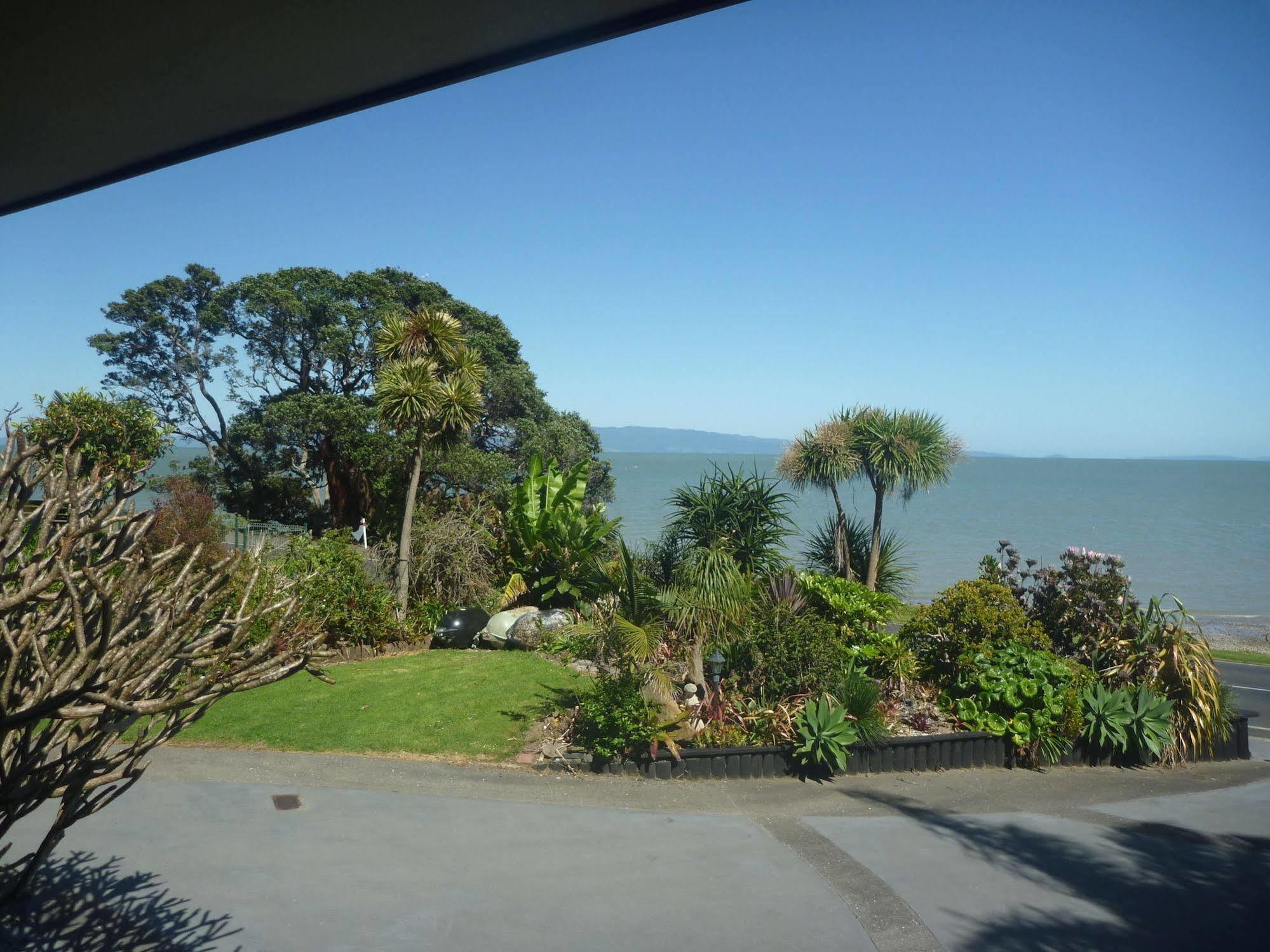Te Puru Pohutukawa Coast Bnb מראה חיצוני תמונה