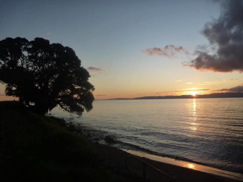 Te Puru Pohutukawa Coast Bnb מראה חיצוני תמונה